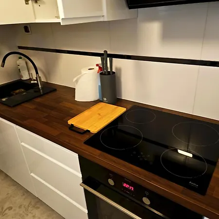 Moniuszki Starowka 40m2 아파트 바이톰